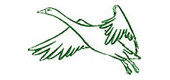 логотип авиакомпинии Dornier Aviation Nigeria Дорнье Авиэйшн Нигерия