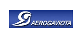 логотип авиакомпинии Aerogaviota Аэрогавиота